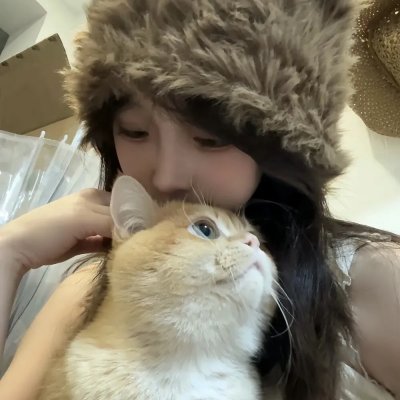 黑眉蚊